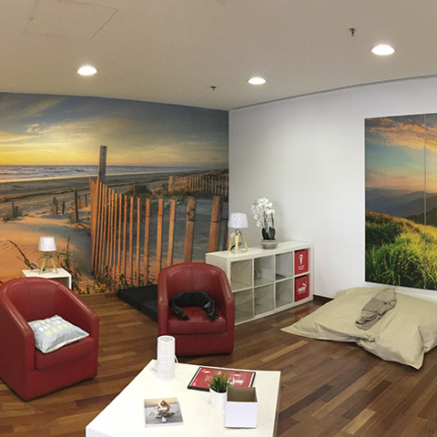 portfolio local_professionnel